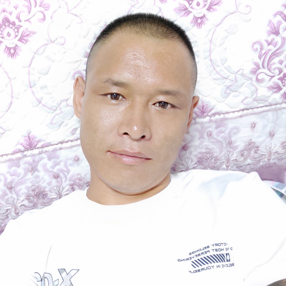 自由放弃森槿的照片