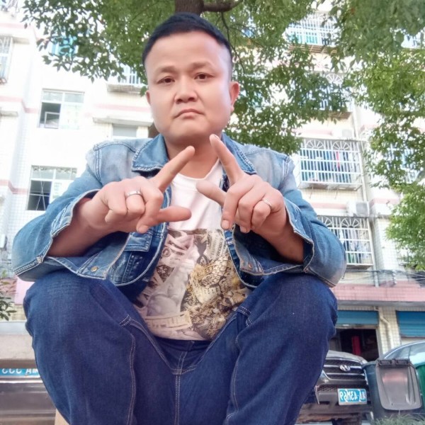 干净金毛的照片