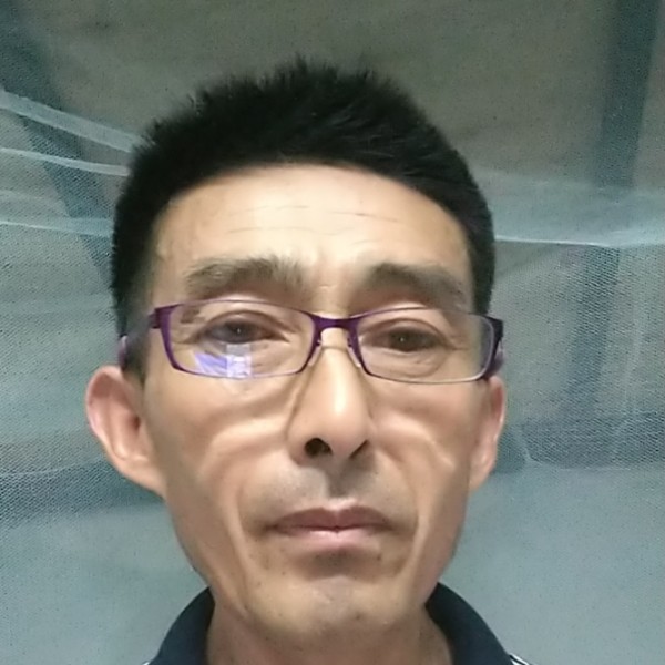 送玫瑰的照片