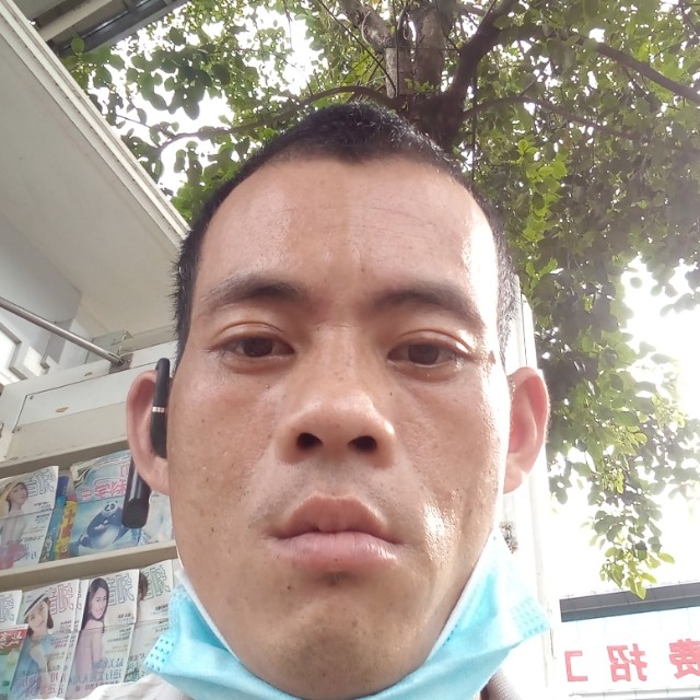 迷路改变鸭子的照片