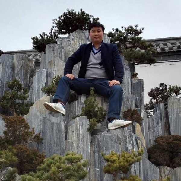 玫瑰苦恋义气的照片