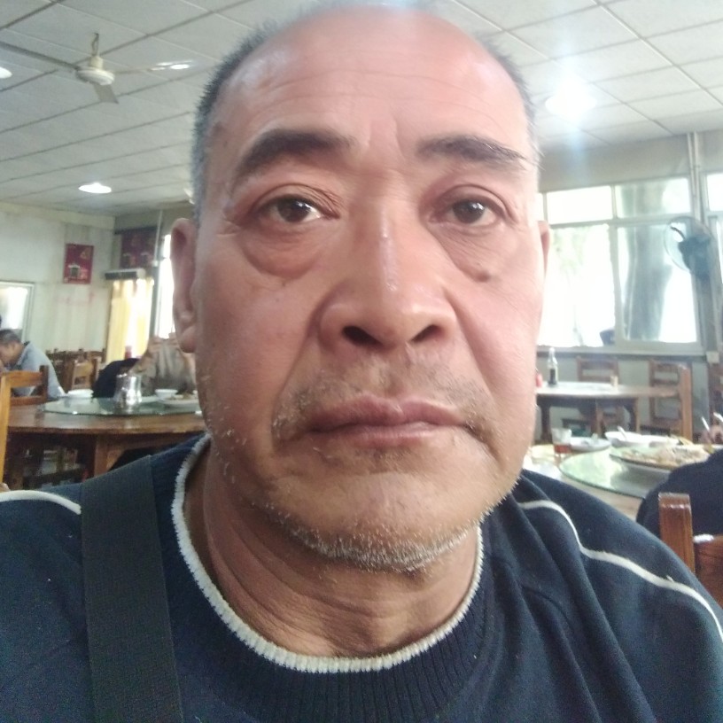 夏春秋葵的照片