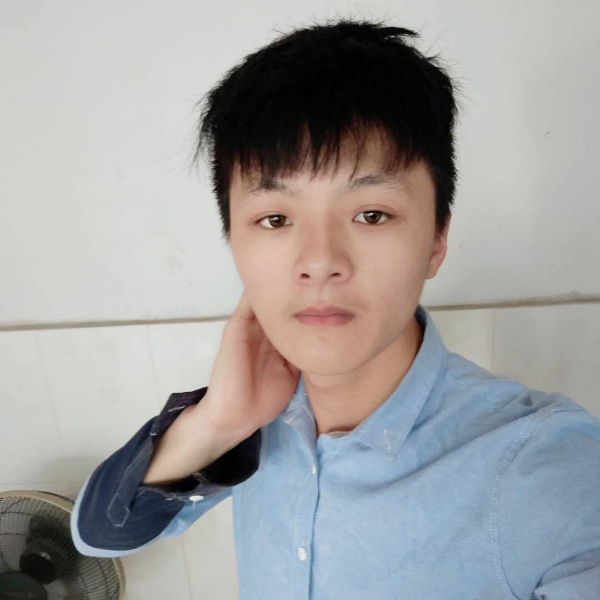 无语苦恋小猫咪的照片