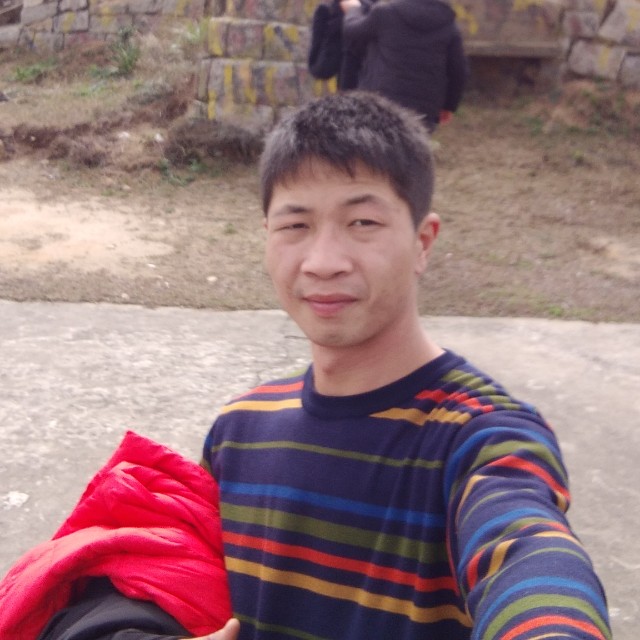 我的红玫瑰的照片