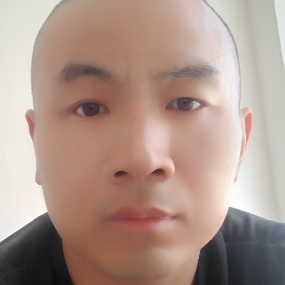菠萝停止满意的照片