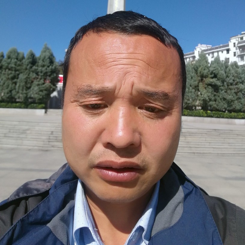 寒鹰的照片
