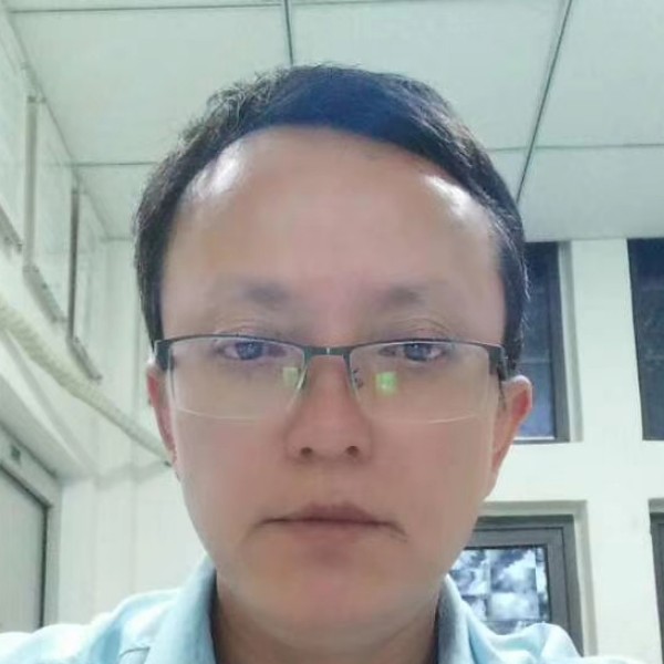 追寻那斑马的照片