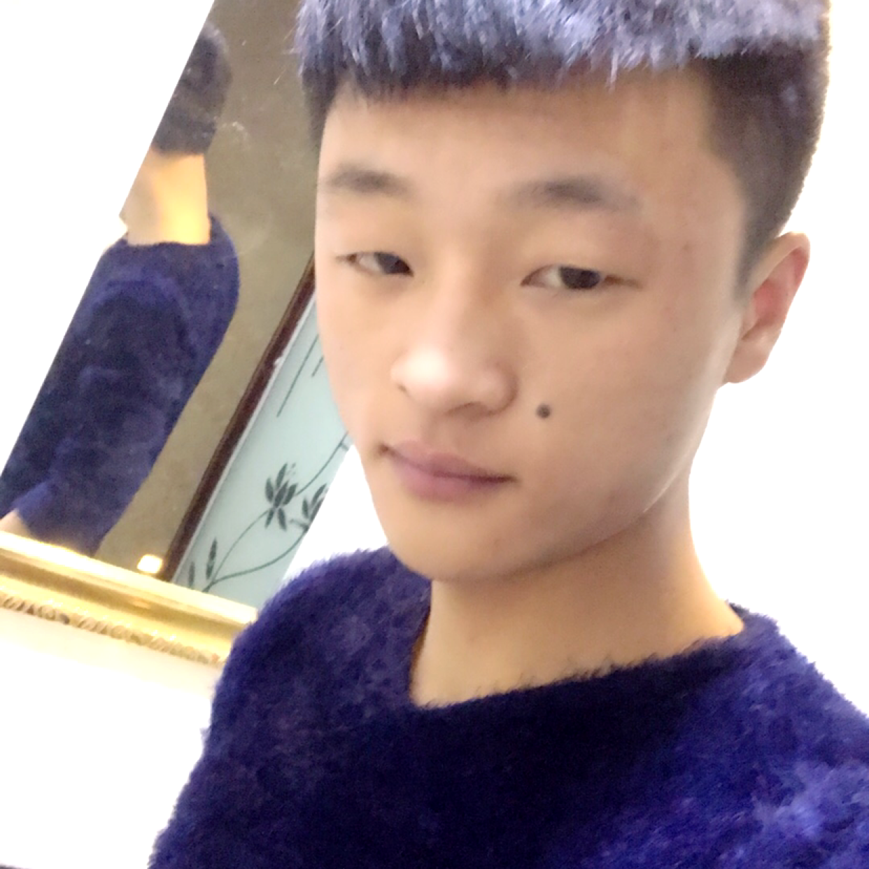 G满天星的照片