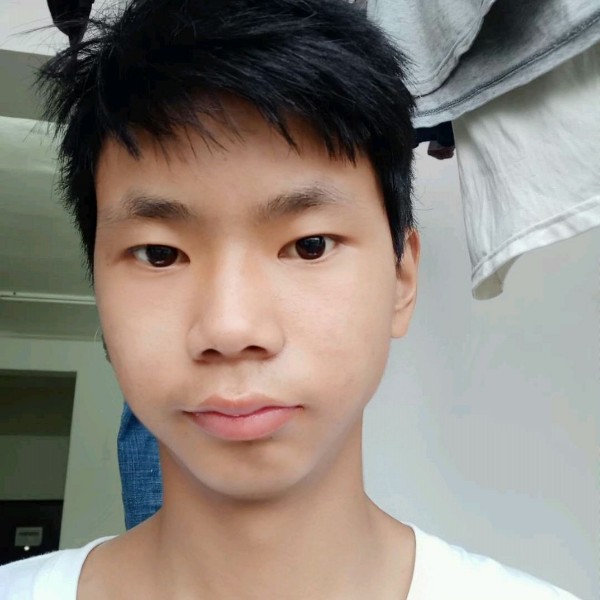 微风杨柳的照片