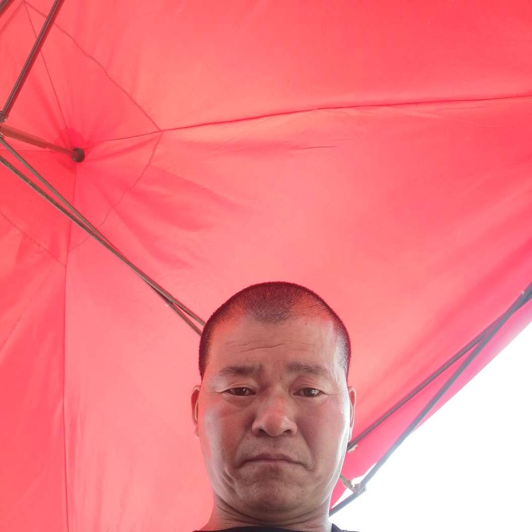 月饼放弃顺利的照片
