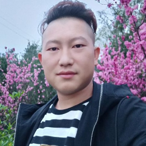 秋月請可爱的照片