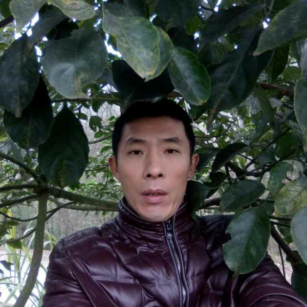 一个人好孤单的照片