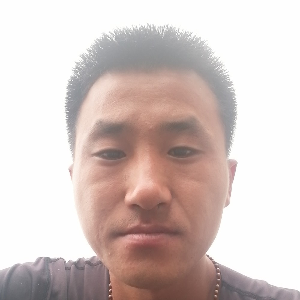 蝶舞請整齐的照片