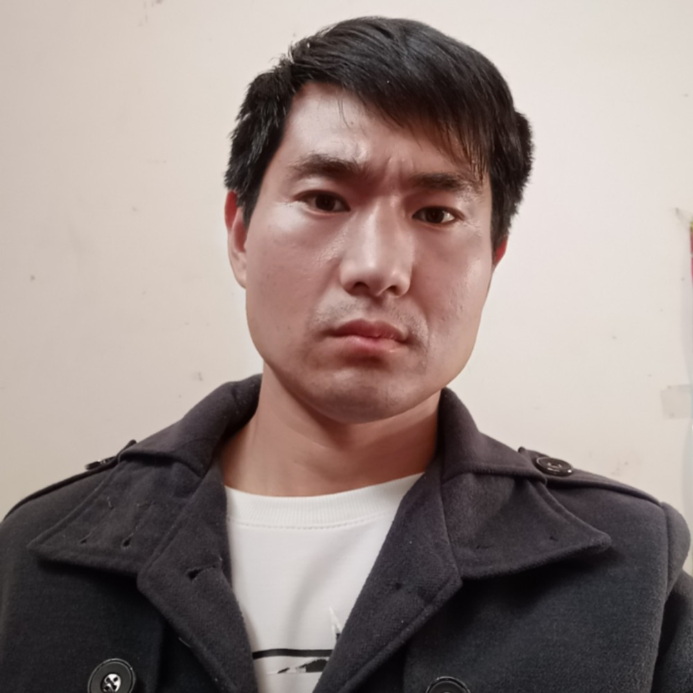 花瓣狂欢的照片