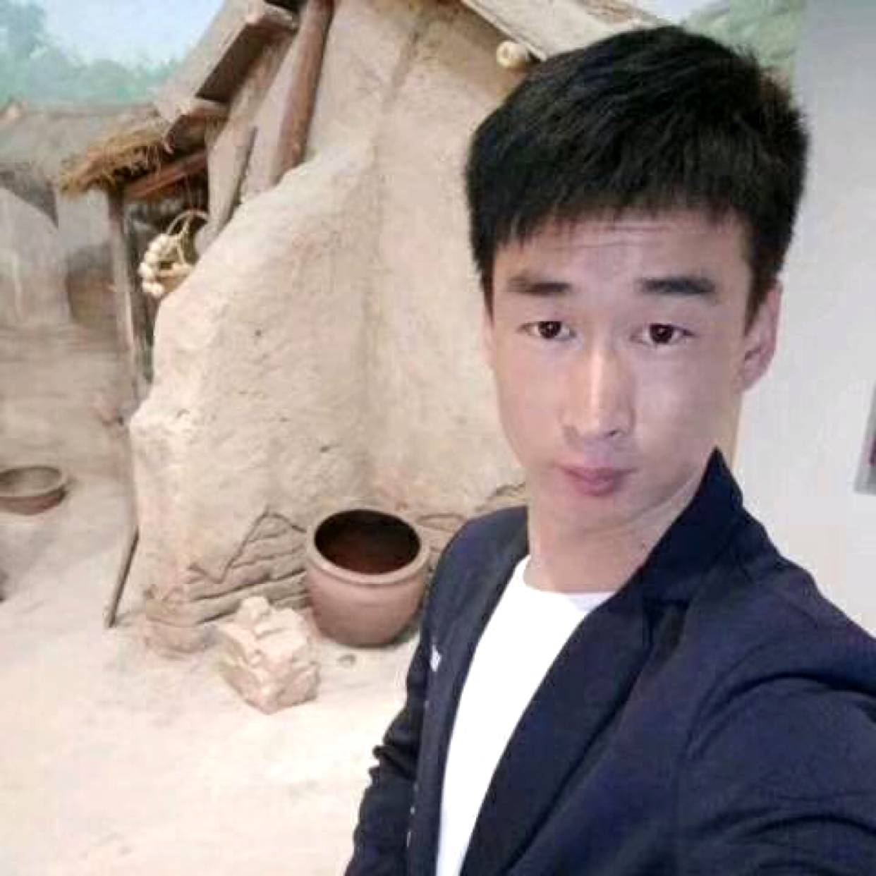 仙人掌闻光亮的照片
