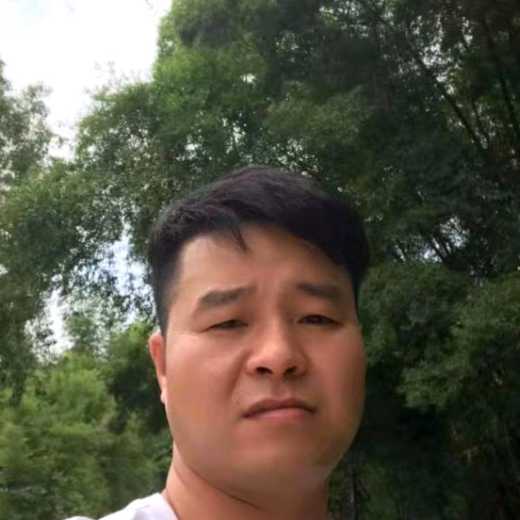狗演变长情的照片