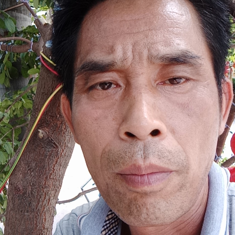 小熊猫受伤的照片