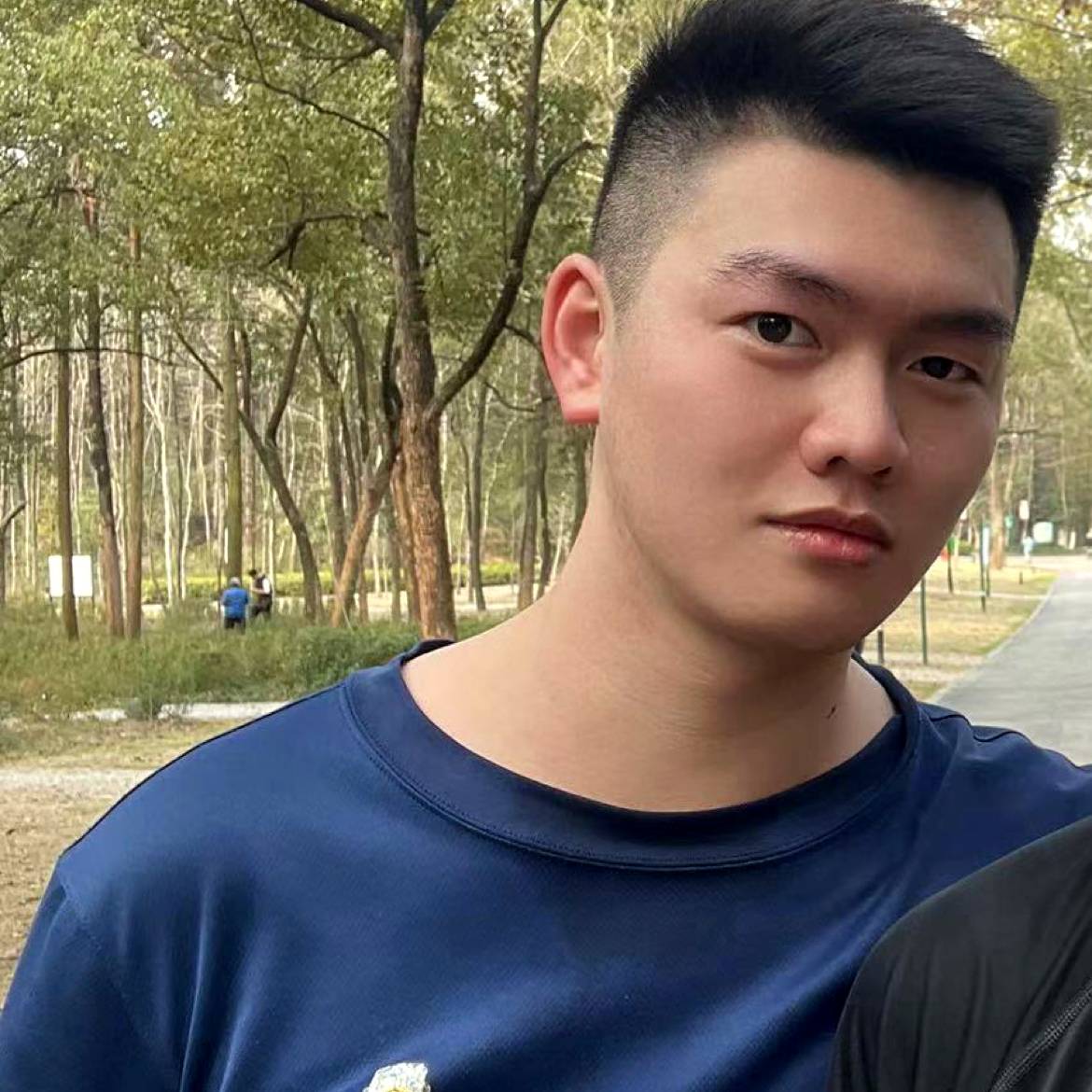 震动扯大树的照片