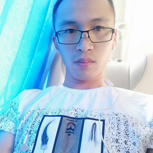 落单的蜜蜂的照片