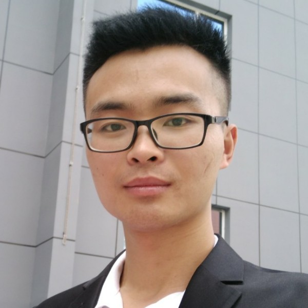明媚海豚的照片