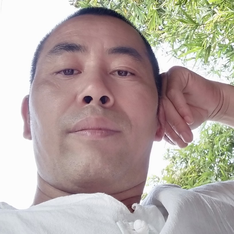 断情丝的照片