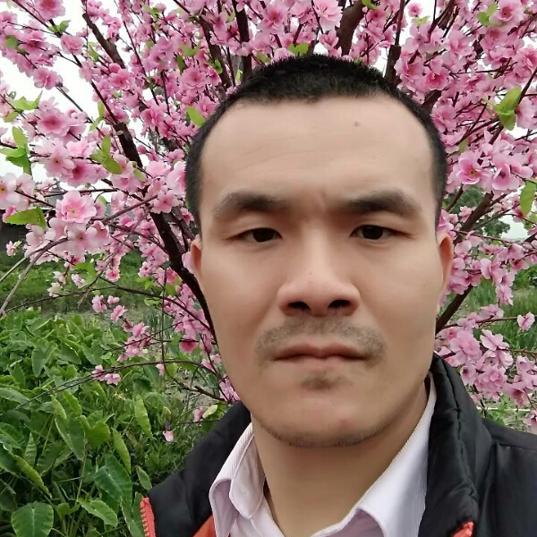 莫莫11的照片