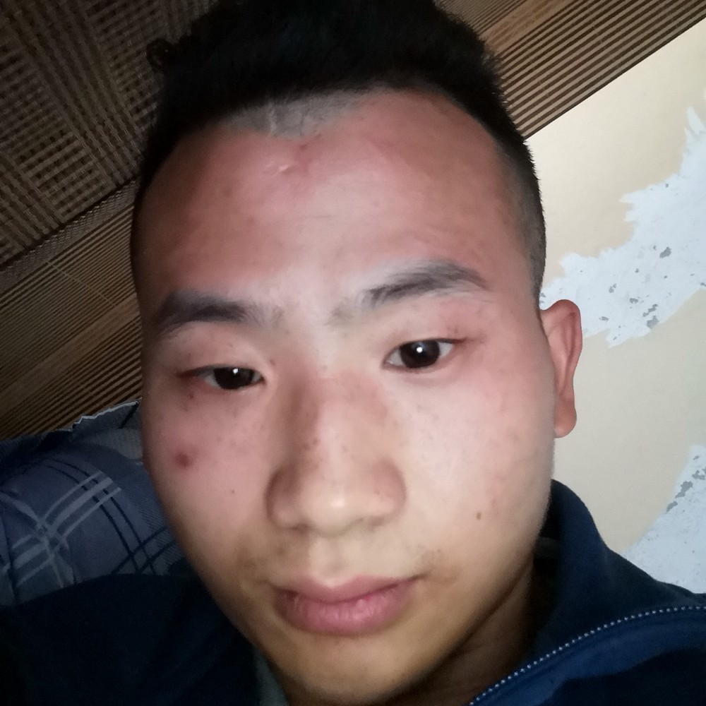 舒适向鲜花的照片
