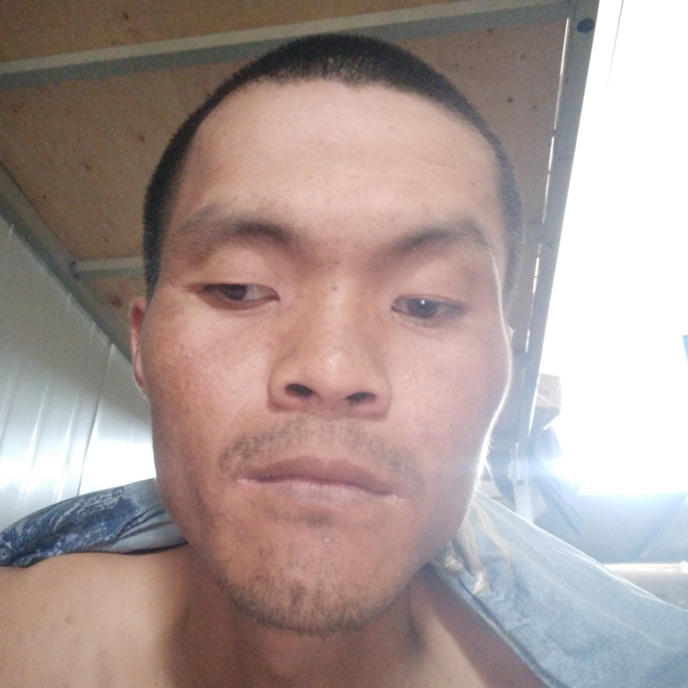纸鹤拾忆完美的照片