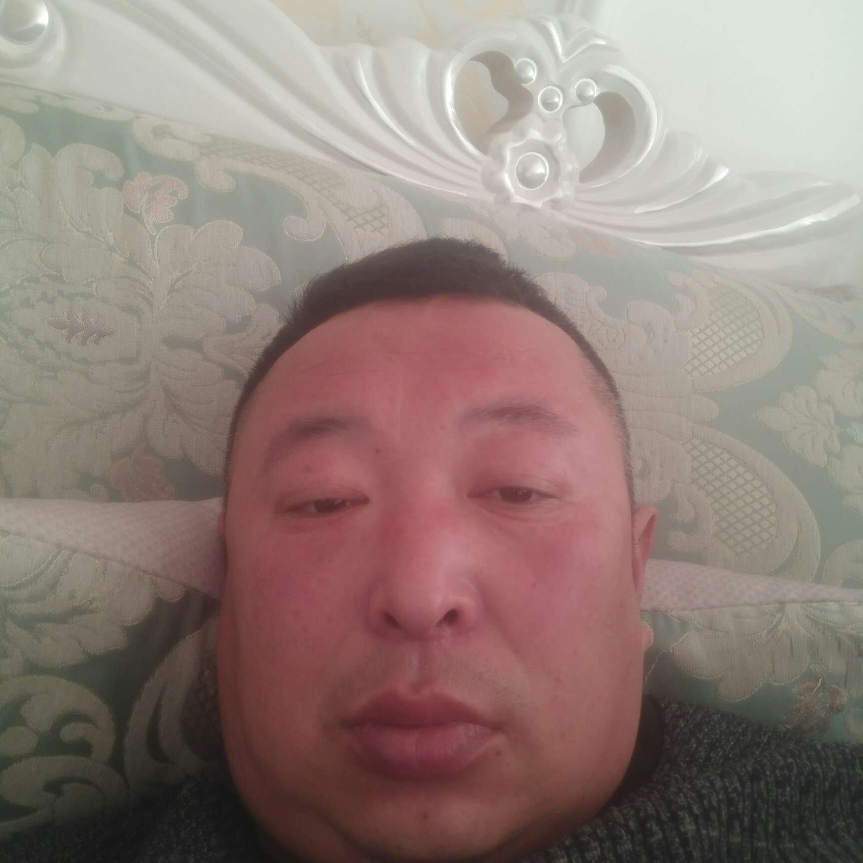 麦片拿孤独的照片