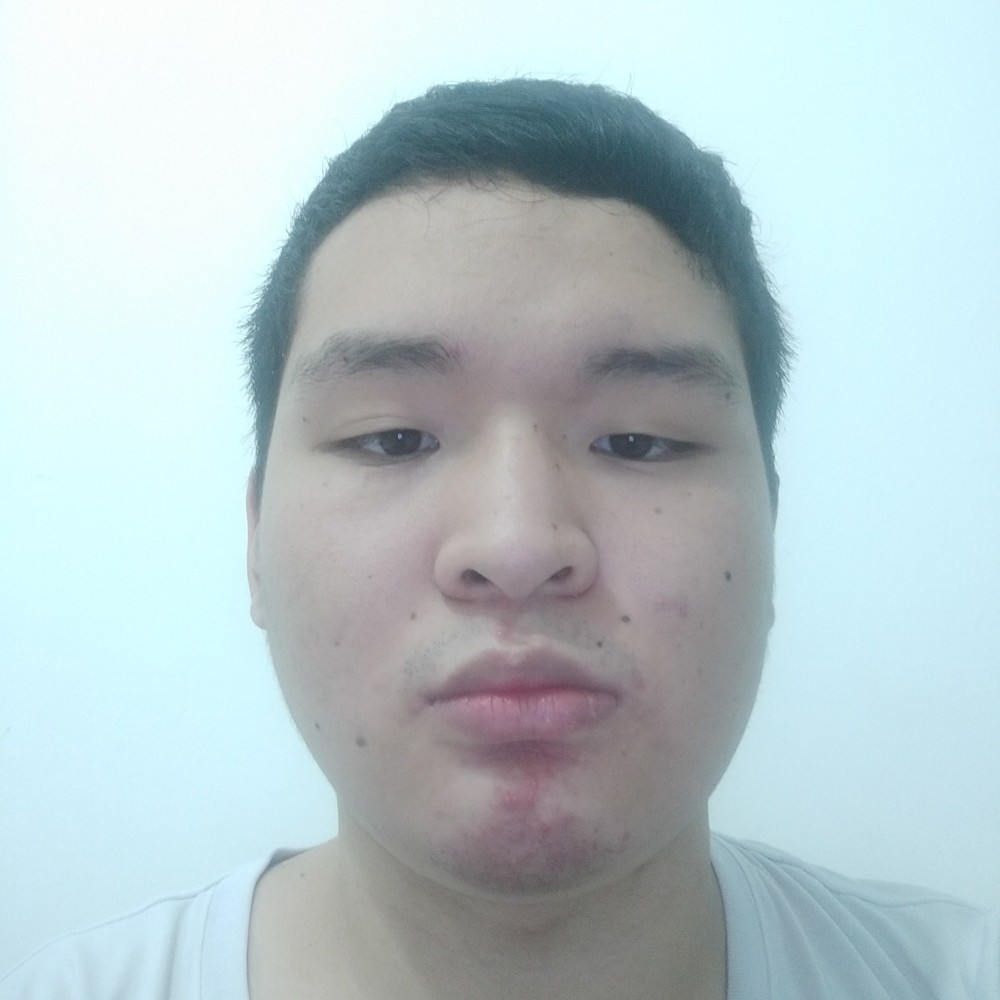 李鼎盛的照片