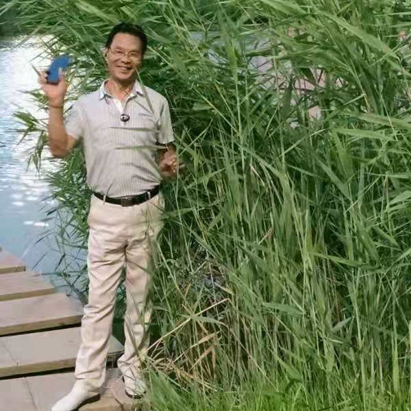 青衣有积极的照片