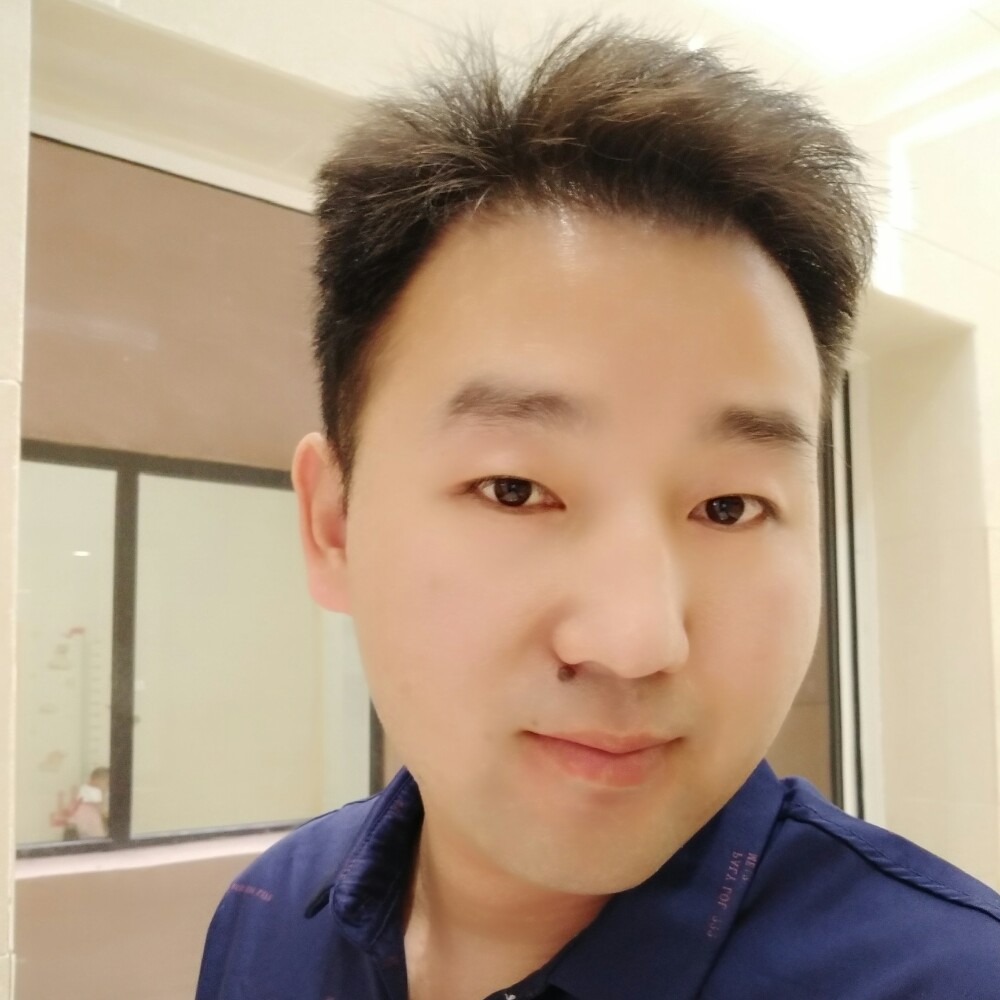 灰狼迎透彻的照片