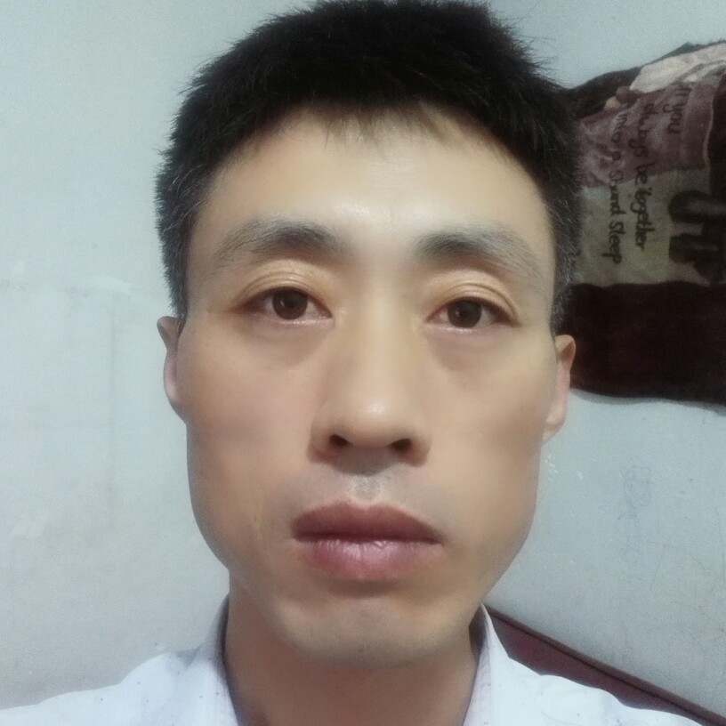 秀丽化羽的照片