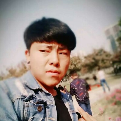 最佳陪衬、的照片