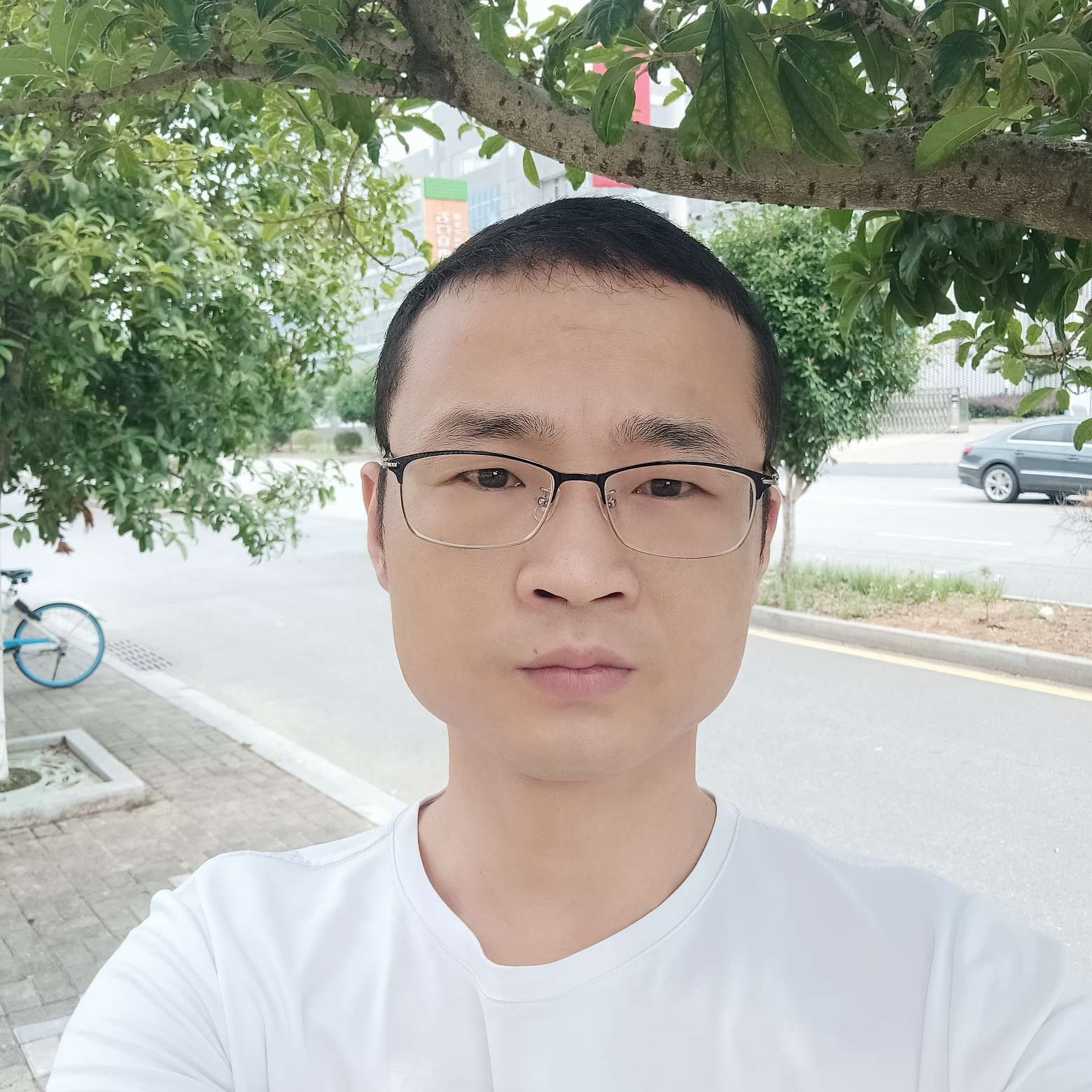 沉静打小懒猪的照片