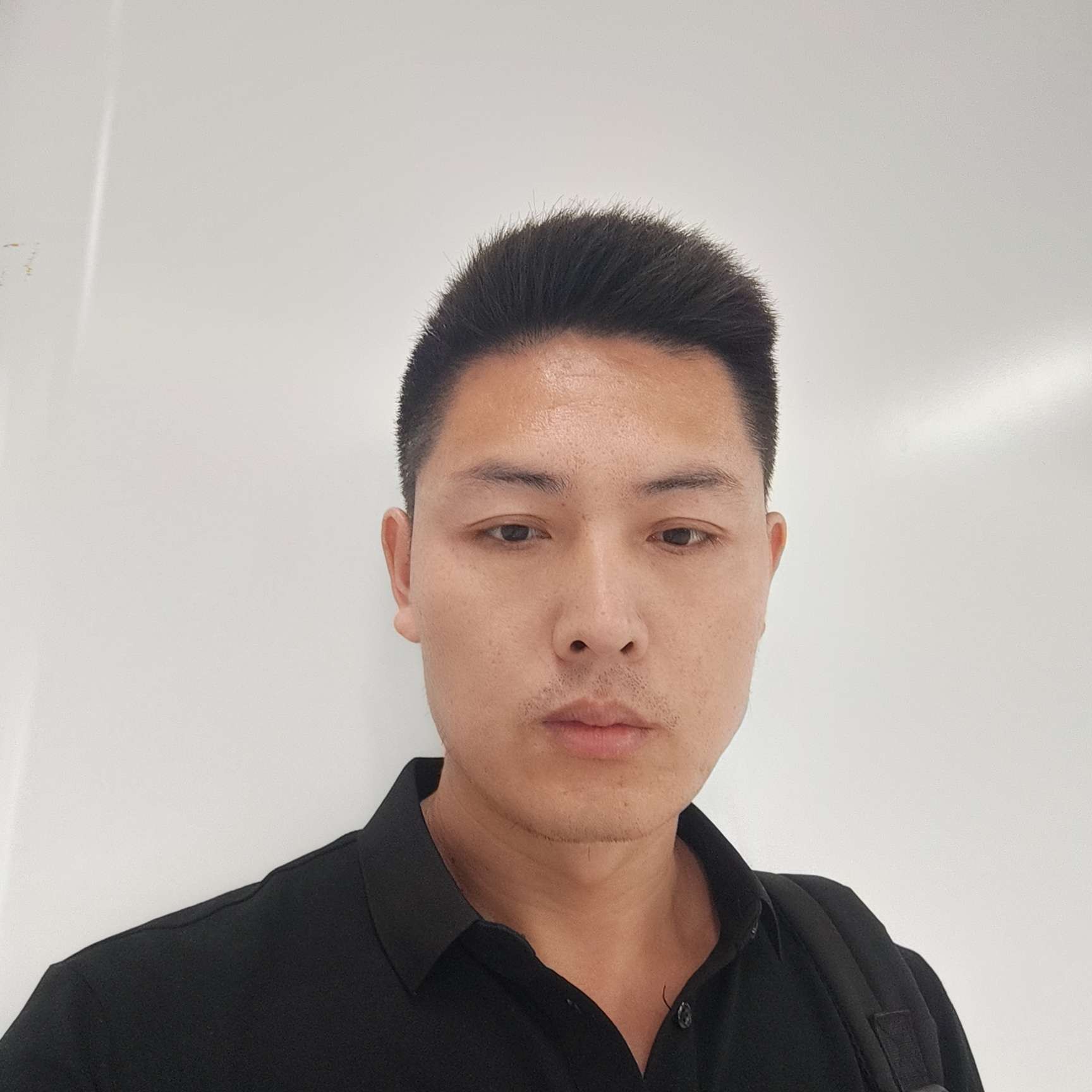 初夏de理想的照片