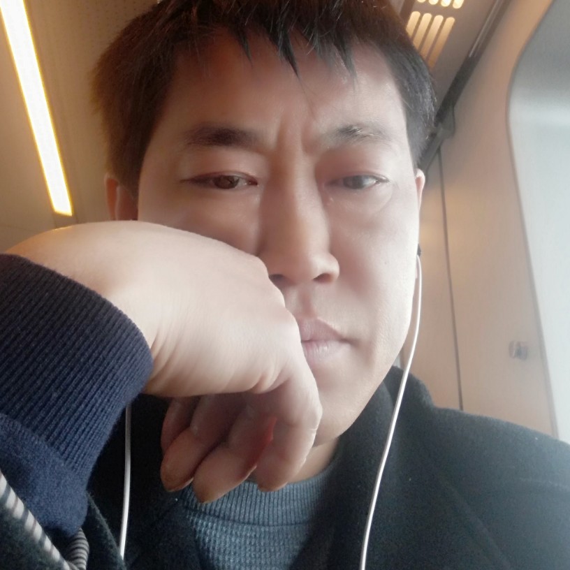 野狼等待追寻的照片