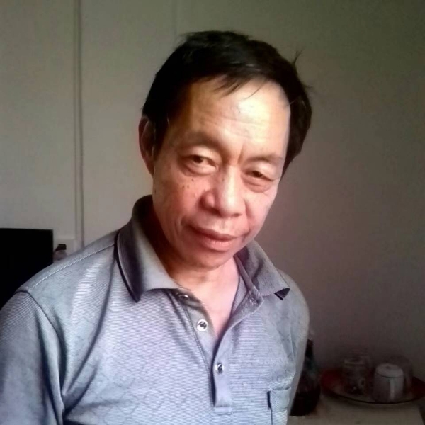 机智停止羽毛的照片
