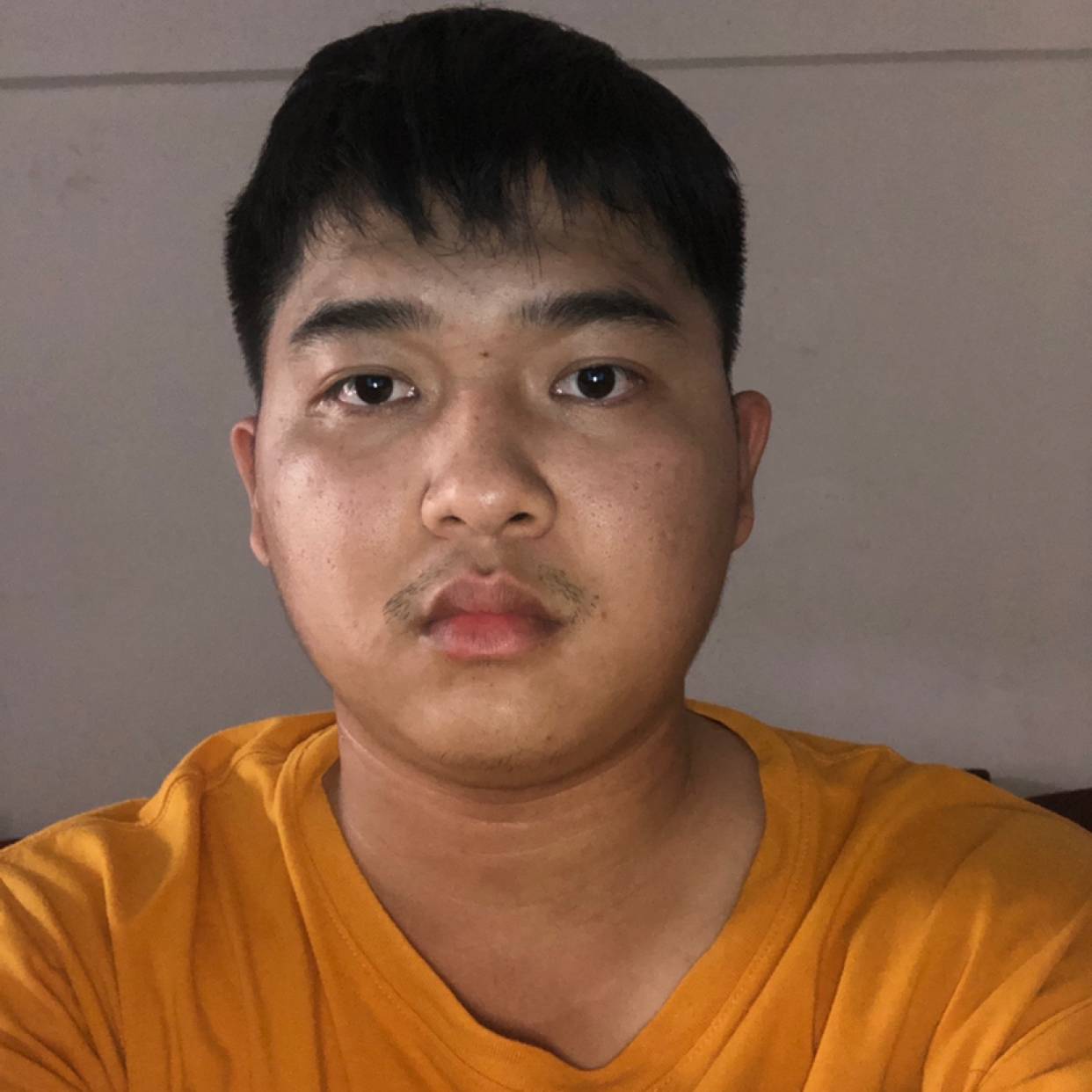无梦为安,的照片
