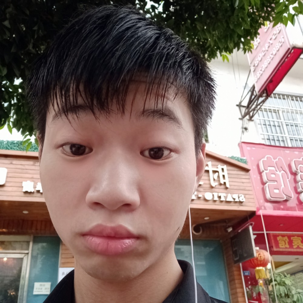 小刺猬与沉默的照片