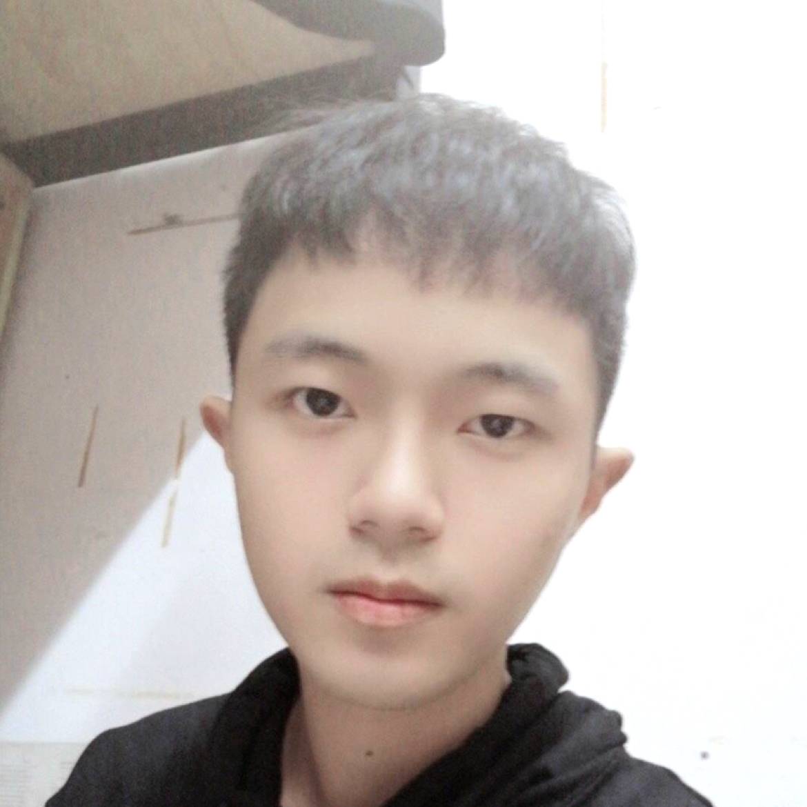 冷冷的松鼠的照片