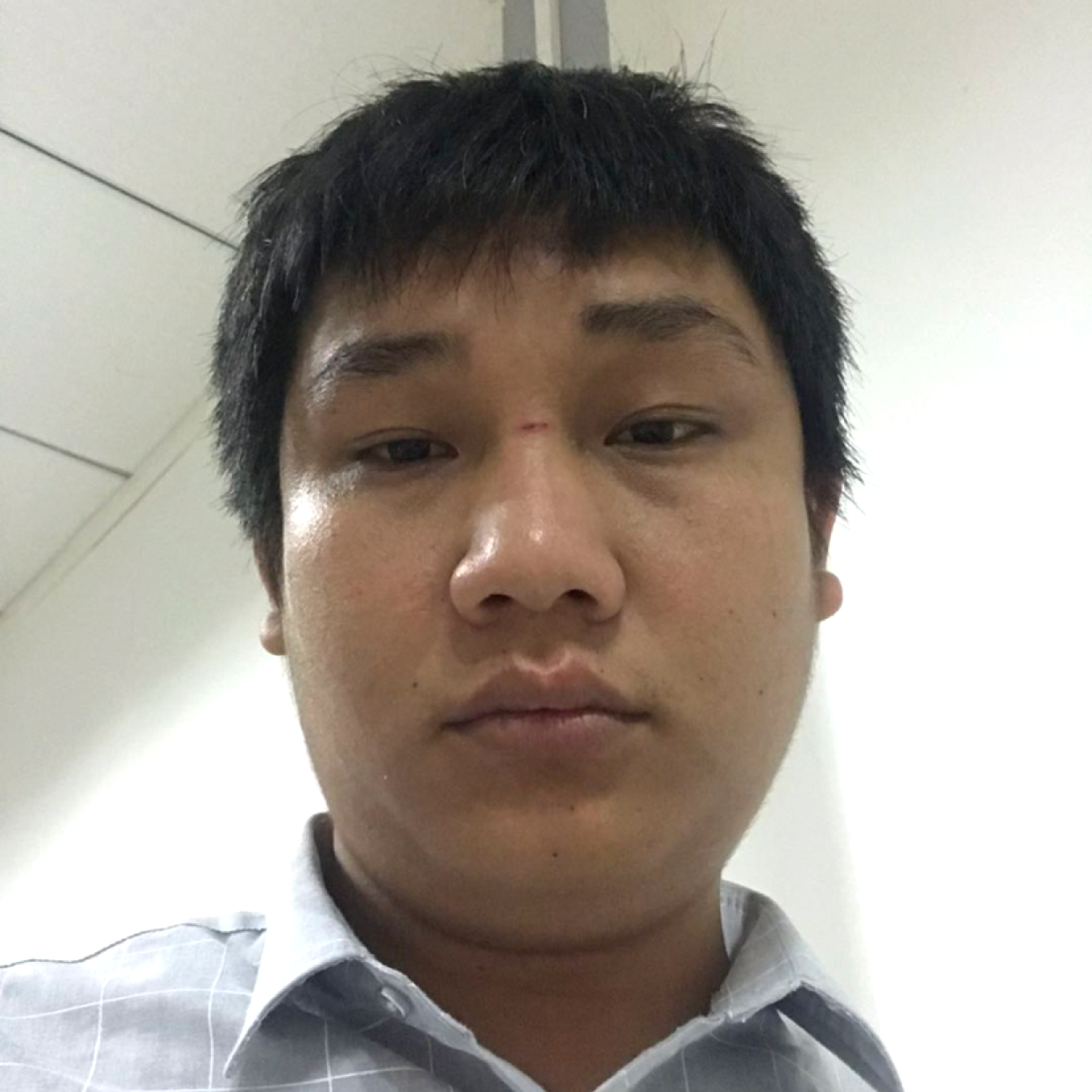 傻傻的思念的照片