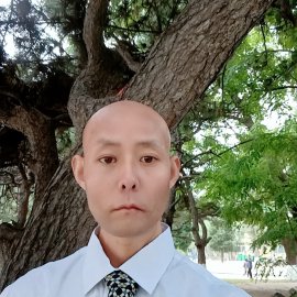 听话无可取代的的照片