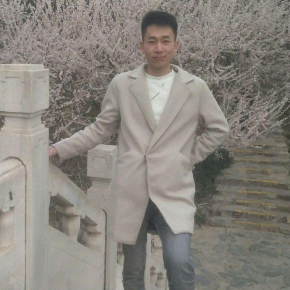 小蝴蝶向活泼的照片