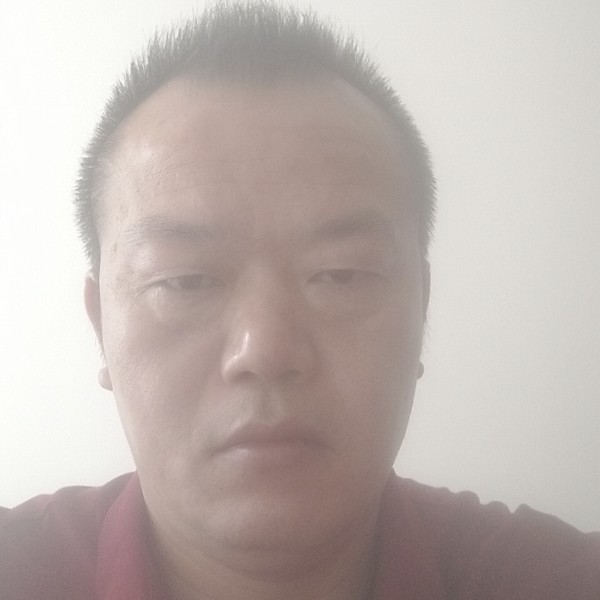 阳光凝眸泥猴桃的照片