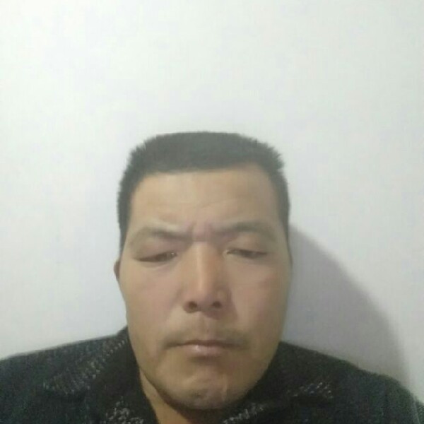 我们的黄豆的照片
