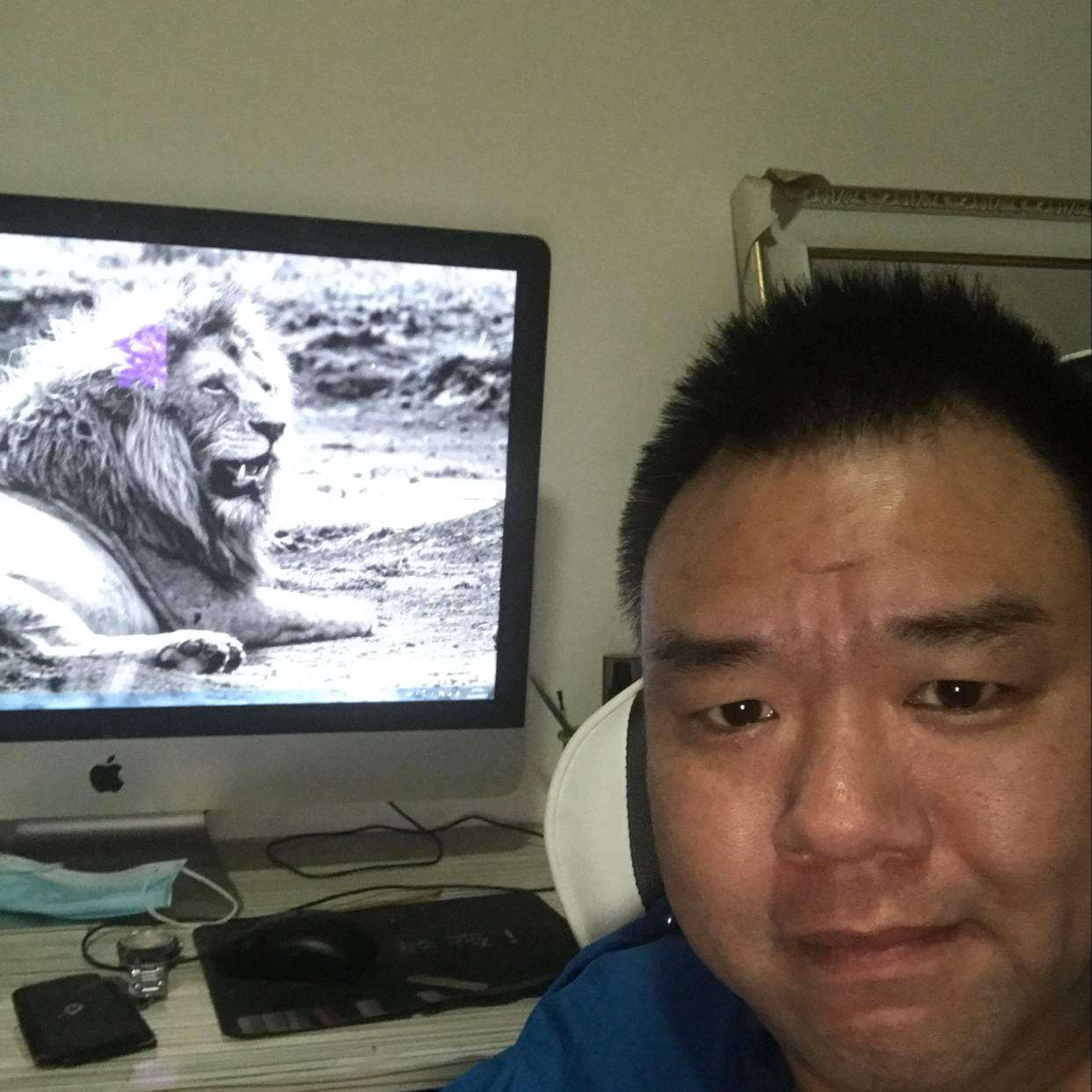 藐视法庭的照片