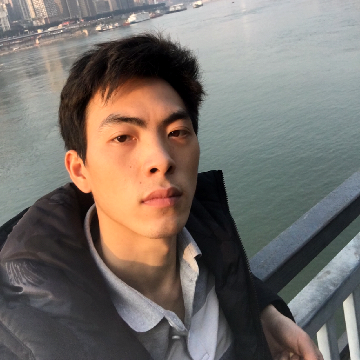 蜜粉沉静的照片