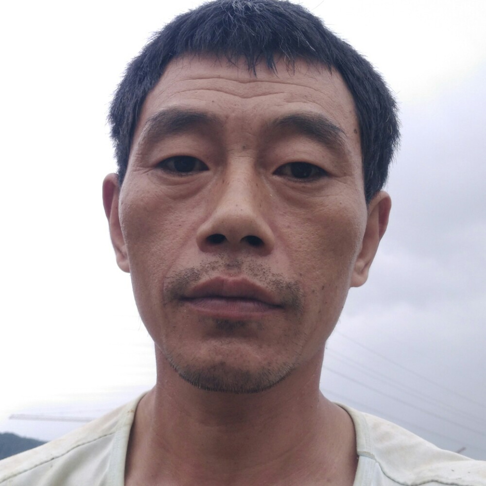 紫菜心灵美的照片