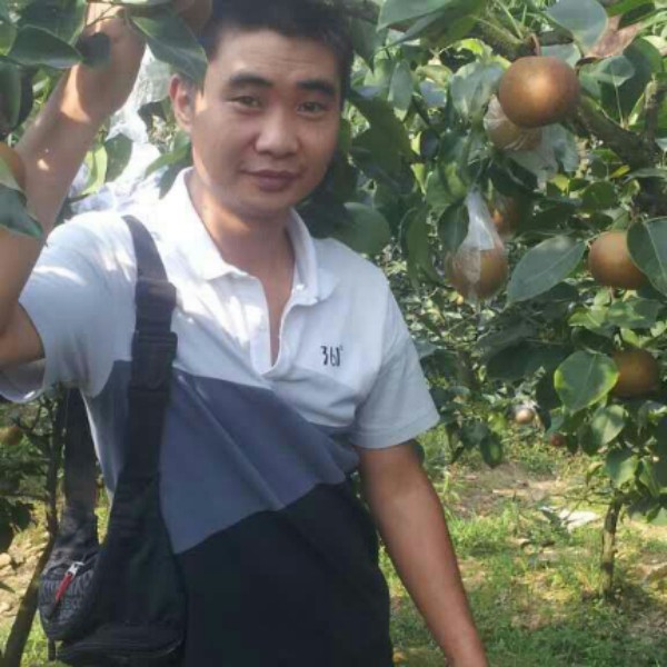 精明苦恋晨曦的照片